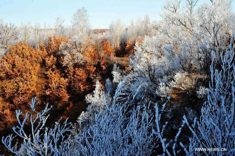 Photo taken on Nov. 7, 2012 shows rime scenery at the Taoyuanfeng Hydropower Station in Huma County, northeast China's Heilongjiang Province. The rime scenery here is able to last until late November. (Xinhua/Zhou Changping)