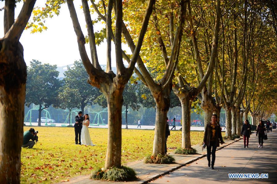 People walk on the campus of Yangzhou University in Yangzhou, east China's Jiangsu Province, Nov. 7, 2012. The beautiful scenery of Yangzhou University in late autumn attracted many people to come to enjoy. (Xinhua/Meng Delong)