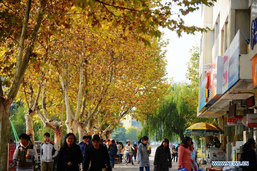 People walk on the campus of Yangzhou University in Yangzhou, east China's Jiangsu Province, Nov. 7, 2012. The beautiful scenery of Yangzhou University in late autumn attracted many people to come to enjoy. (Xinhua/Meng Delong) 