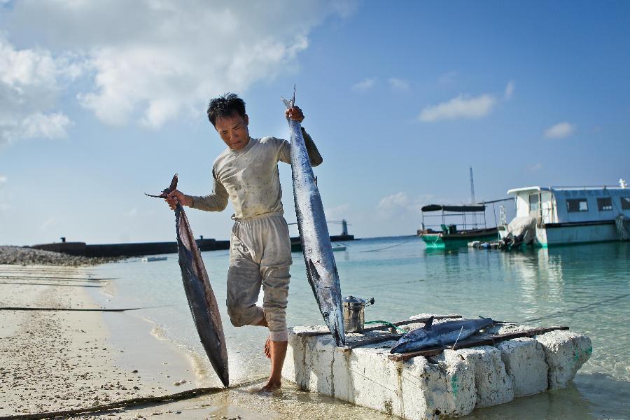 A fisherman settles his capture after fishing, on the Yongxing Island, municipal government seat of Sansha, south China's Hainan Province, Nov. 9, 2012. (Xinhua/Zheng Huansong)