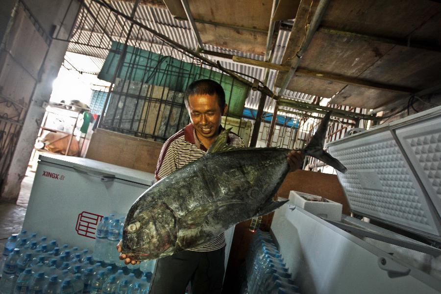 A fisherman presents his capture after fishing, on the Yongxing Island, municipal government seat of Sansha, south China's Hainan Province, Nov. 9, 2012. (Xinhua/Zheng Huansong)