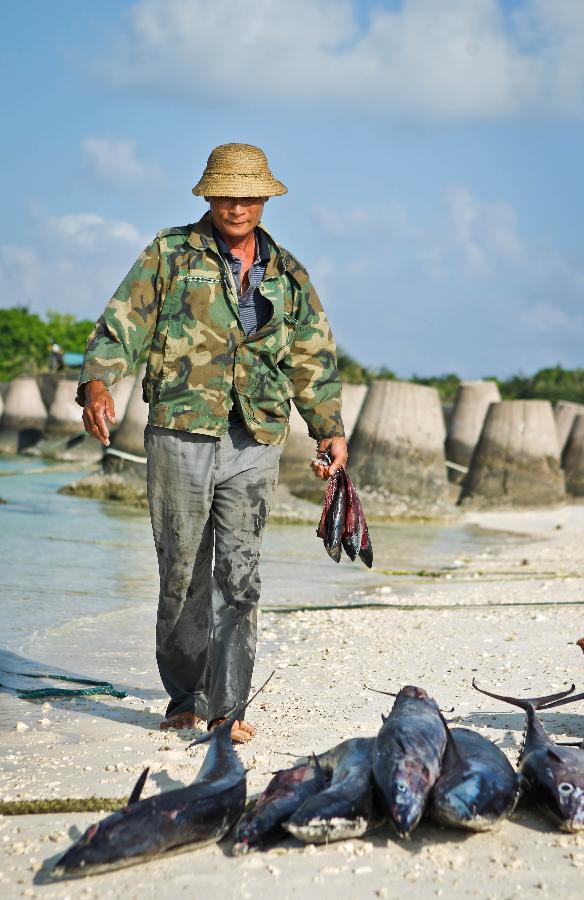 A fisherman settles his capture after fishing, on the Yongxing Island, municipal government seat of Sansha, south China's Hainan Province, Nov. 9, 2012. (Xinhua/Zheng Huansong)