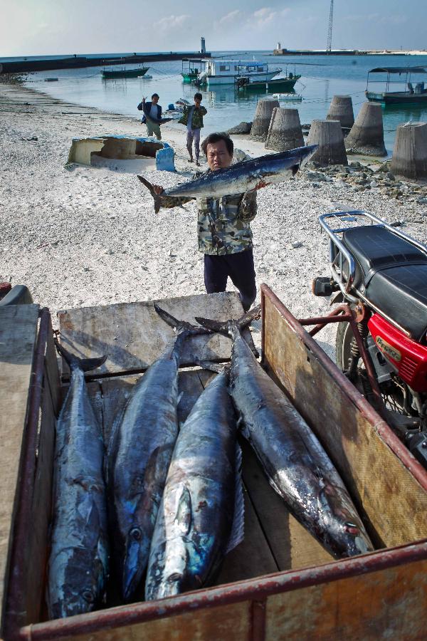A fisherman settles his capture after fishing, on the Yongxing Island, municipal government seat of Sansha, south China's Hainan Province, Nov. 9, 2012. (Xinhua/Zheng Huansong)