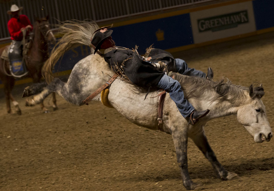Cowboy Mike Tuck (L) competes during the Rodeo section of the 90th Royal Horse Show in Toronto, Canada, Nov. 4, 2012. (Xinhua/Zou Zheng)
