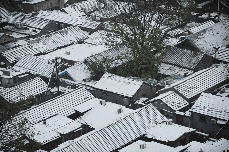 The roofs are under a blanketed of snow in Beijing on Nov. 4, 2012. (Xinhua/Liu Changlong)