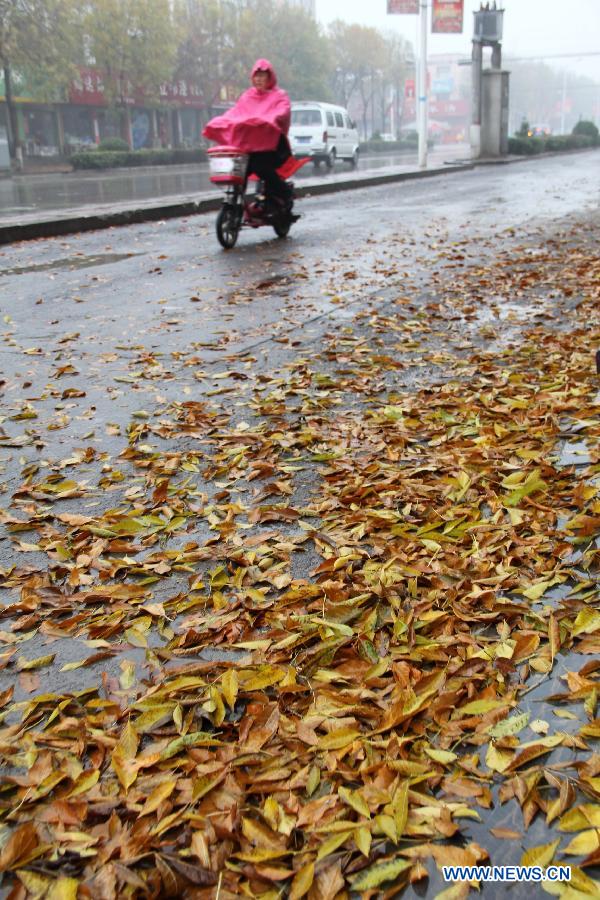 A local resident rides an electric bicycle in the rain in Neihuang County of Anyang City, central China's Henan Province, Nov. 10, 2012. A strong cold snap has brought rainfall and wind to many parts of northern China since Friday night, causing a fall in temperature and scattered snowfall in the following days. (Xinhua/Liu Xiaokun)