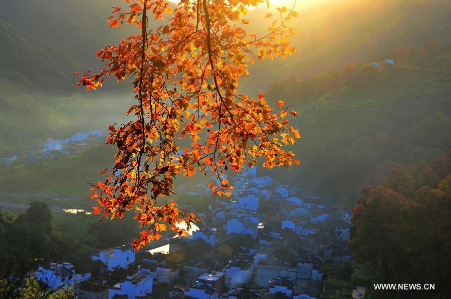 Photo taken on Nov. 11, 2012 shows the scenery in Changxi Village in Wuyuan County, east China's Jiangxi Province. Maple leaves in Changxi turned red recently, attracting numbers of visitors. (Xinhua/Dai Xiangyang)  