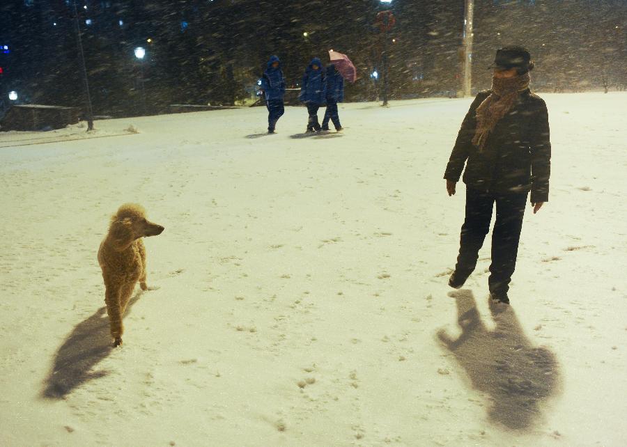 A citizen and her dog are seen on a snow-covered road in Changchun, capital of northeast China's Jilin Province, Nov. 12, 2012. The National Meteorological Center issued a yellow warning for further snowstorms in northeast China on Monday afternoon. From 8 p.m. Monday to 8 p.m. Tuesday, heavy snows or storms will hit Jilin, Heilongjiang, Inner Mongolia and northwest Xinjiang, with precipitation of 10 to 15 mm, the center forecast. (Xinhua/Xu Chang)