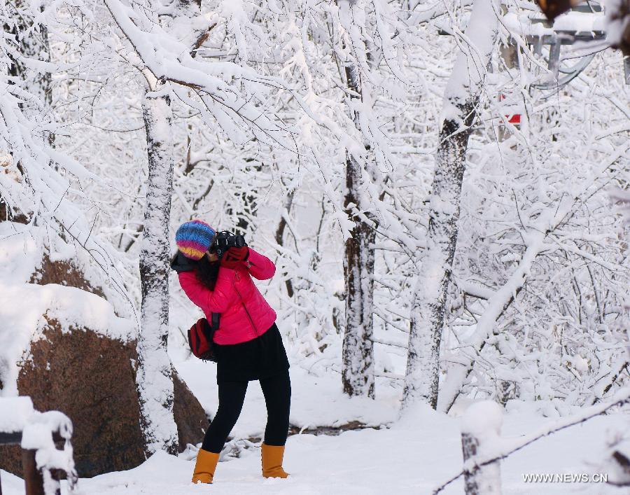 A woman takes pictures of snow at Longshou Mountain in Tieling City, northeast China's Liaoning Province, Nov. 12, 2012. Most parts of northeast China and east part of north China's Inner Mongolia Autonomous Region have undergone intense snowfall on Nov. 11 and Nov. 12. A yellow alert on blizzard was issued by the National Meteorological Center on Monday. (Xinhua/Dong Fei)  