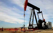 Caution urged for shale gas exploitation 