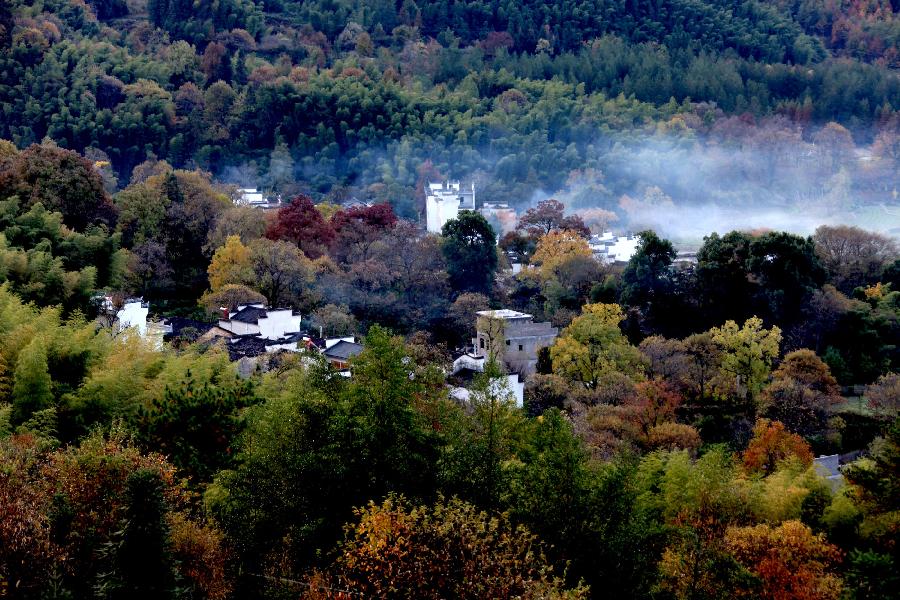 Photo taken on Nov. 12, 2012 shows the scenery of Tachuan Village, east China's Anhui Province. (Xinhua/Shi Guangde) 