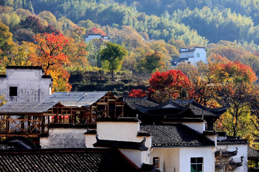 Photo taken on Nov. 12, 2012 shows the scenery of Tachuan Village, east China's Anhui Province. (Xinhua/Shi Guangde) 