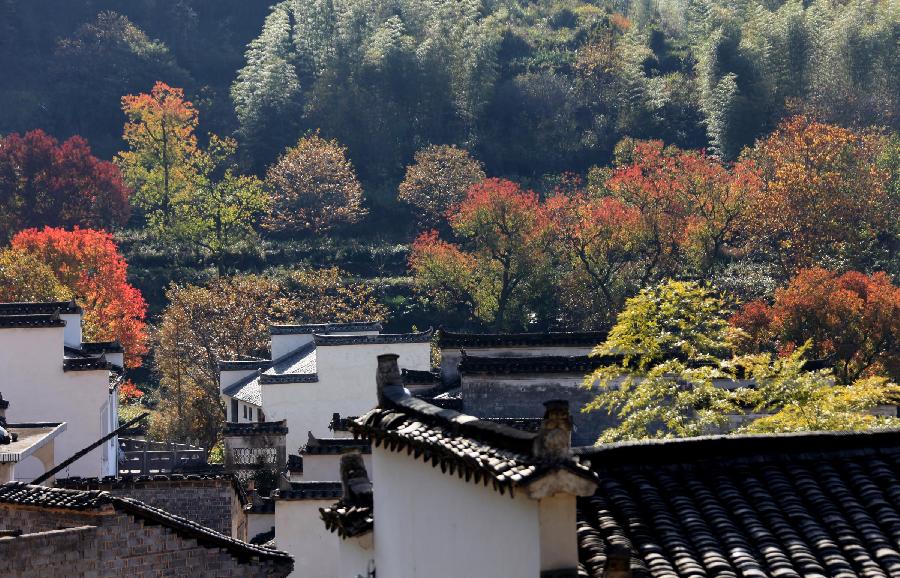 Photo taken on Nov. 12, 2012 shows the scenery of Tachuan Village, east China's Anhui Province. (Xinhua/Shi Guangde) 