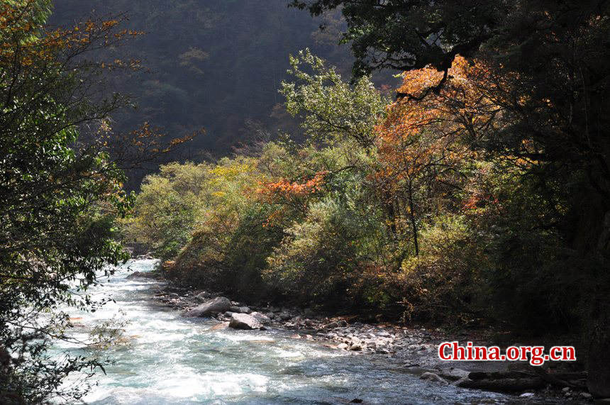 Located in Longdong Town, Baoxing County, Ya'an city, Sichuan province, Dongla Mountain Grand Canyon is one of the most famous attractions in Sichuan Province. The beautiful scenery of Dongla Mountain Grand Canyon in the early winter has attracted many tourists. (Photo by Chen Xiangzhao / China.org.cn)