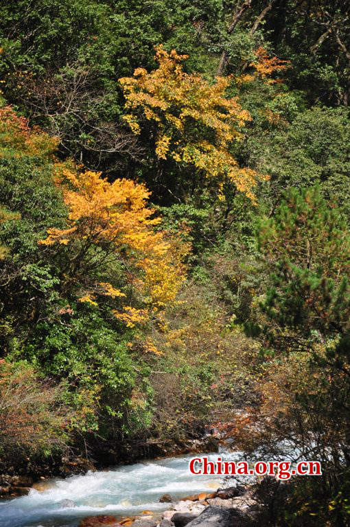 Located in Longdong Town, Baoxing County, Ya'an city, Sichuan province, Dongla Mountain Grand Canyon is one of the most famous attractions in Sichuan Province. The beautiful scenery of Dongla Mountain Grand Canyon in the early winter has attracted many tourists. (Photo by Chen Xiangzhao / China.org.cn)