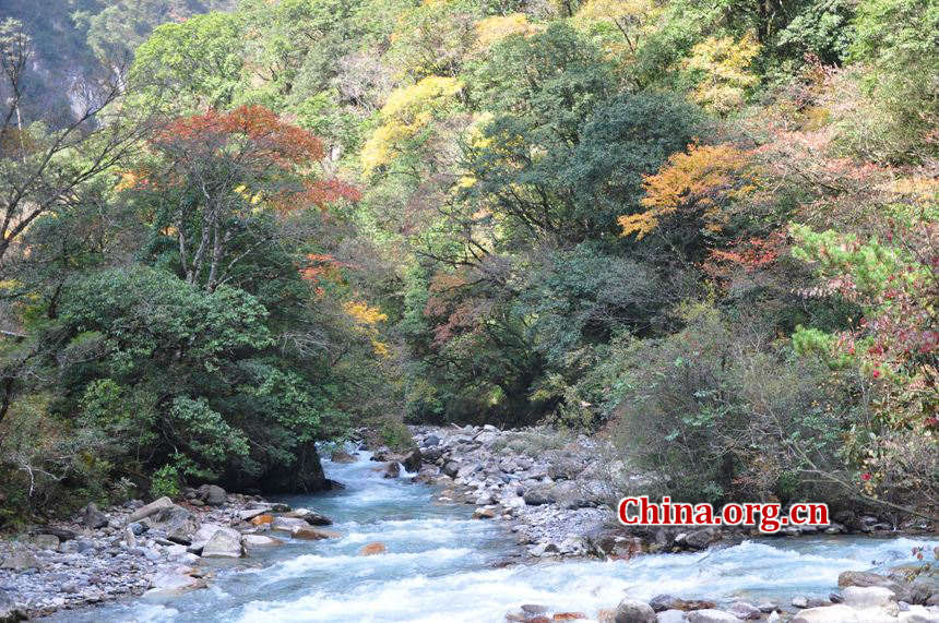 Located in Longdong Town, Baoxing County, Ya'an city, Sichuan province, Dongla Mountain Grand Canyon is one of the most famous attractions in Sichuan Province. The beautiful scenery of Dongla Mountain Grand Canyon in the early winter has attracted many tourists. (Photo by Chen Xiangzhao / China.org.cn)