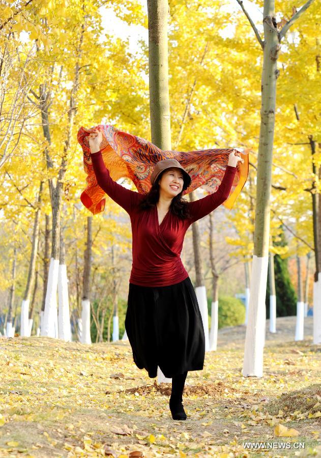 A woman poses for photos in the ginkgo forest in Lianyungang, east China's Jiangsu Province, Nov. 13, 2012. (Xinhua/Geng Yuhe) 