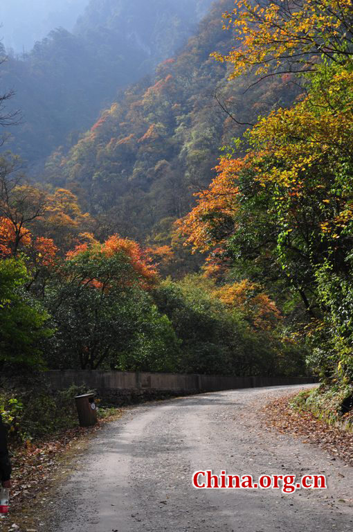 Located in Longdong Town, Baoxing County, Ya'an city, Sichuan province, Dongla Mountain Grand Canyon is one of the most famous attractions in Sichuan Province. The beautiful scenery of Dongla Mountain Grand Canyon in the early winter has attracted many tourists. (Photo by Chen Xiangzhao / China.org.cn)