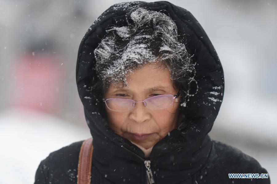 A citizen walks in snow in Changchun, capital of northeast China's Jilin Province, Nov. 16, 2012. A snowfall hit central and eastern Jilin on Friday. (Xinhua/Lin Hong) 