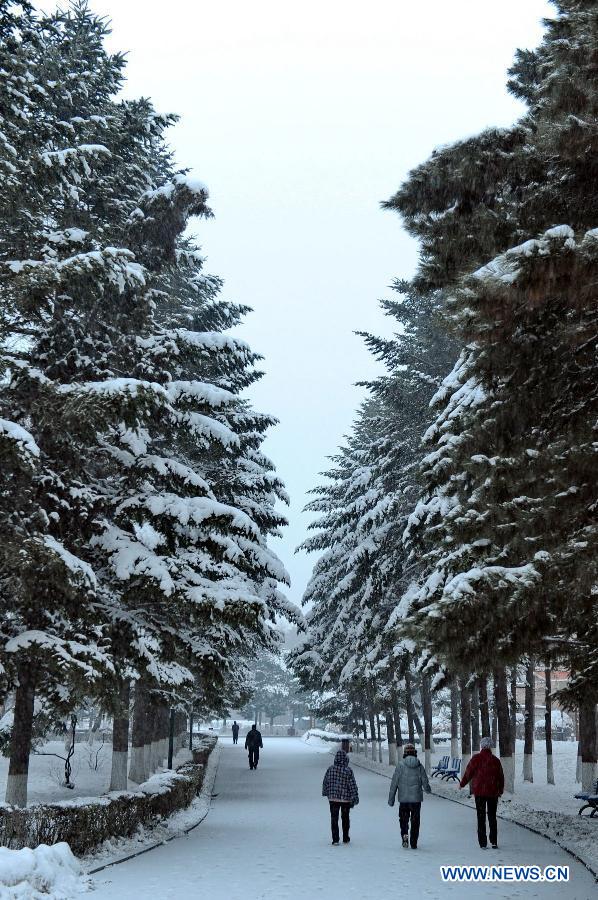 Citizens walk on a snow-covered road in Changchun, capital of northeast China's Jilin Province, Nov. 16, 2012. A snowfall hit central and eastern Jilin on Friday. (Xinhua/Zhang Nan) 