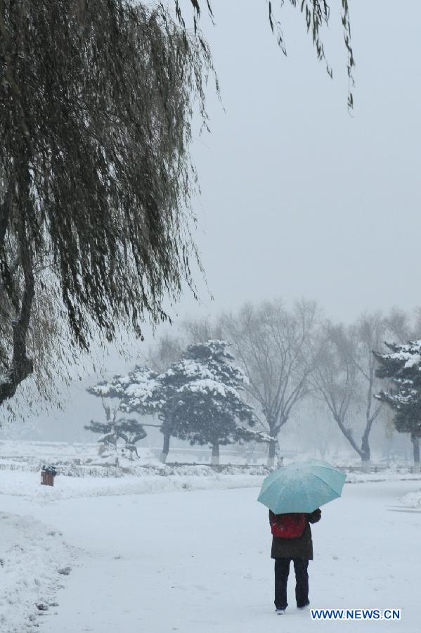 A citizen walks in snow in Changchun, capital of northeast China's Jilin Province, Nov. 16, 2012. A snowfall hit central and eastern Jilin on Friday. (Xinhua/Zhang Nan) 