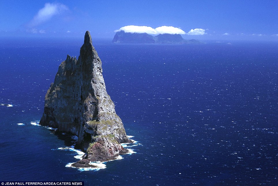 Sea stack, New South Wales of Australia (Photo Source: cnr.com)