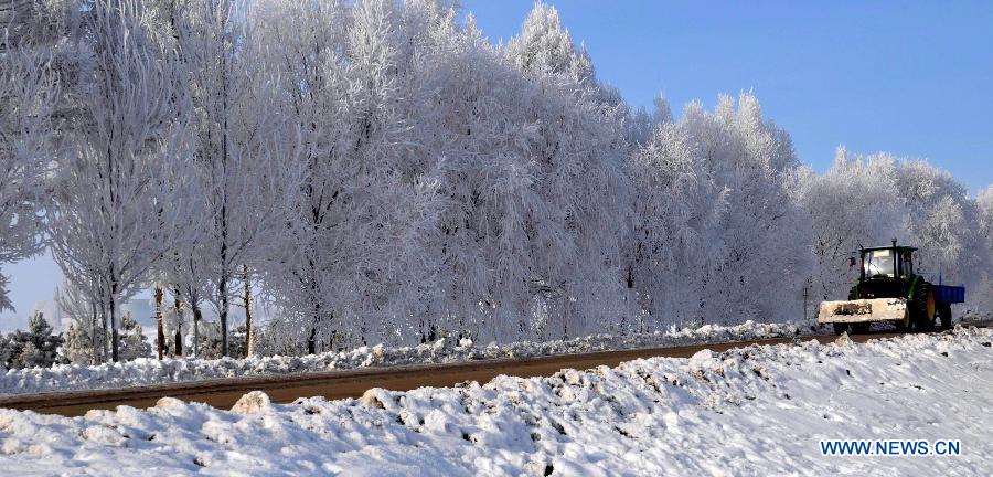 Photo taken on Nov. 16, 2012 shows the winter scenery of rime at a farm in Heihe, northeast China's Heilongjiang Province. (Xinhua/Zhou Liangjun) 