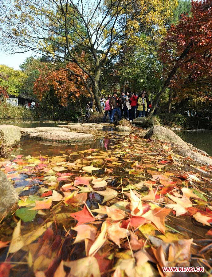 Photo taken on Nov. 17, 2012 shows the maple leaves on Tianping Mountain in Suzhou City, east China's Jiangsu Province. (Xinhua/Hang Xingwei) 