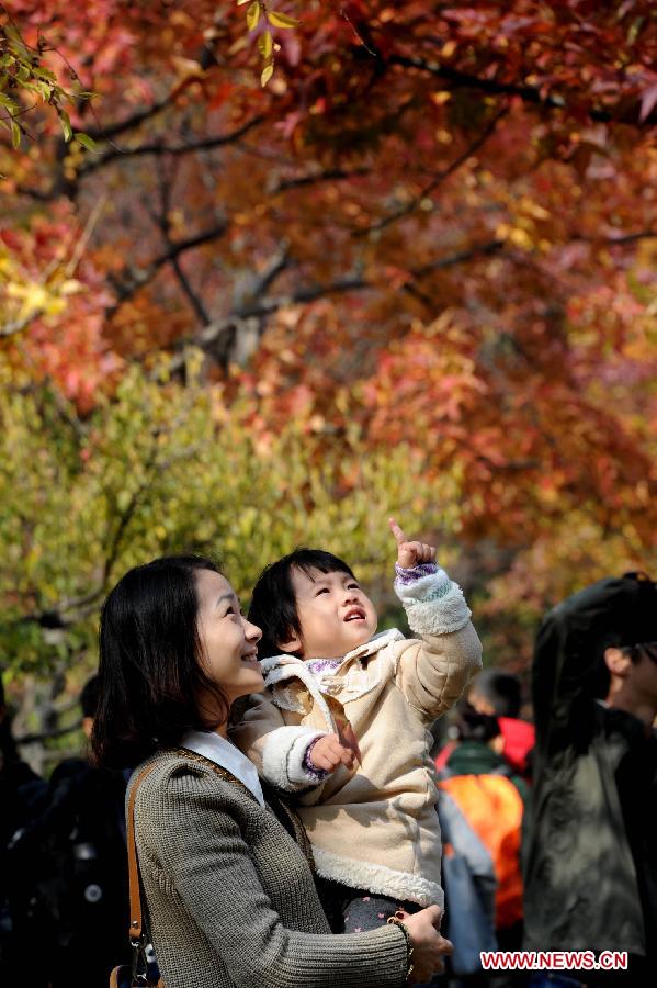 A mother and daughter view the maple leaves on the Tianping Mountain in Suzhou City, east China's Jiangsu Province, Nov. 17, 2012. The mountain is famous for its colorful maple leaves. (Xinhua/Hang Xingwei) 