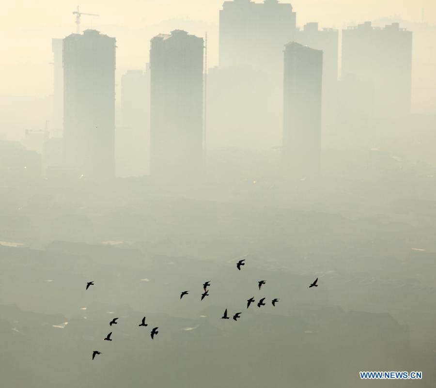 Photo taken on Nov. 17, 2012 shows buildings shrouded by dense fog in Chongqing, southwest China. (Xinhua/Luo Guojia)  