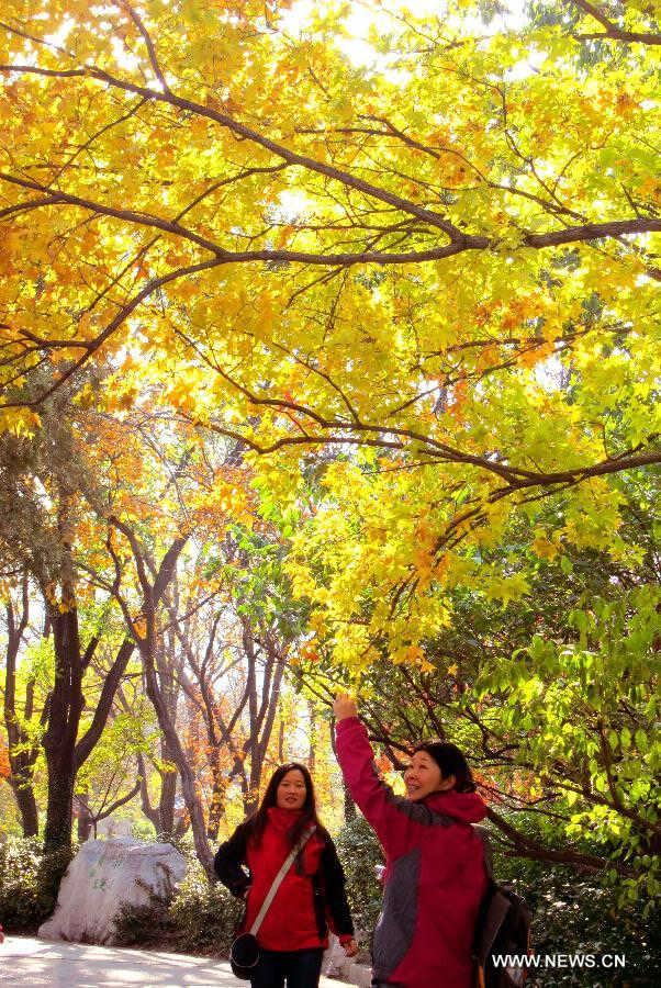 Visitors view maple leaves on Qianfo Mountain, or the Thousand Buddha Mountain, in Jinan, capital of east China's Shandong Province, Nov. 17, 2012. (Xinhua/Xu Suhui) 