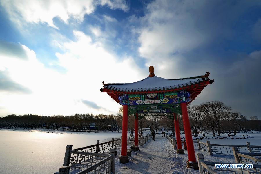 Photo taken on Nov. 19, 2012 shows the scenery after the snowfall in Changchun, capital of northeast China's Jilin Province. (Xinhua/Zhang Nan) 