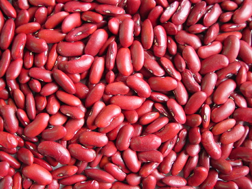 Kidney beans  (Photo Source: news.cn)