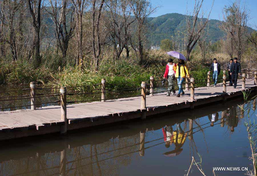 People visit the wetland park at the Qionghai Lake in Xichang City, southwest China's Sichuan Province, Nov. 20, 2012. The Qionghai wetland park attracted many visitors this winter. (Xinhua/Liu Chan) 