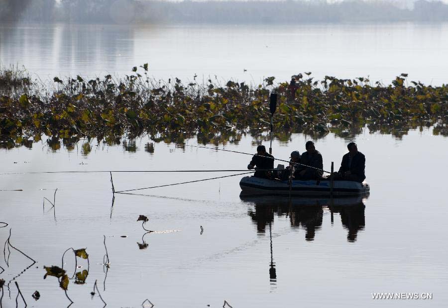 People fish in the wetland park at the Qionghai Lake in Xichang City, southwest China's Sichuan Province, Nov. 20, 2012. The Qionghai wetland park attracted many visitors this winter. (Xinhua/Liu Chan) 