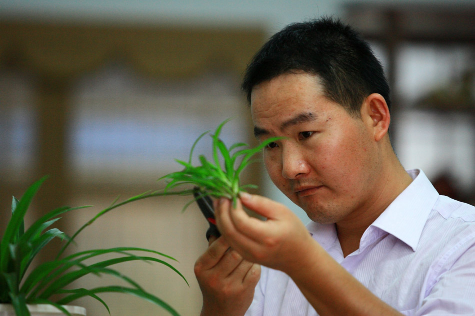 Wen Xin views a plant in his studio in Shexian County of east China's Anhui Province, Aug. 7, 2012. (Xinhua/Xu Zijian)