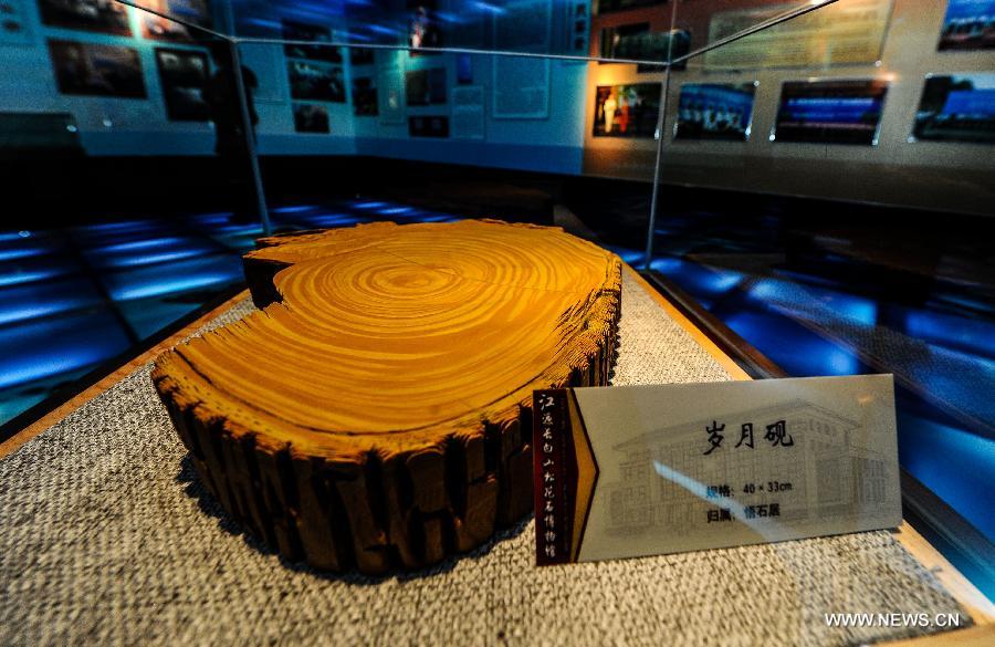 Photo taken on Nov. 19, 2012 shows an artwork made of Songhua stone in the Songhua Stone Museum in Jiangyuan District of Baishan City, northeast China's Jilin Province. Baishan City is known as the hometown of Songhua stones. (Xinhua/Xu Chang) 