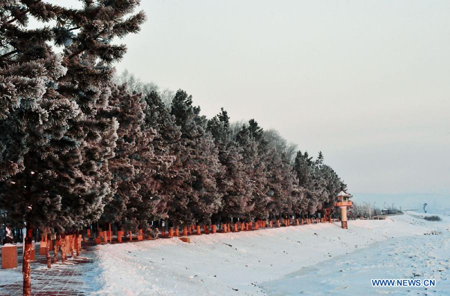 Photo taken on Nov. 21, 2012 shows the snow scenery in Huma County, northeast China's Heilongjiang Province. (Xinhua/Zhou Changping) 