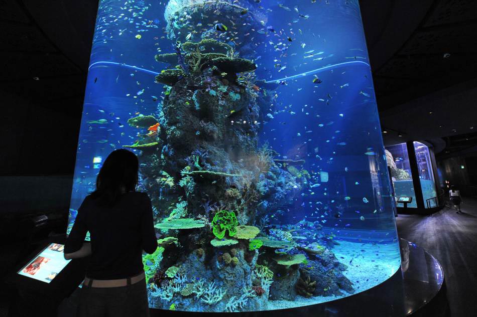 underwater world oceanarium