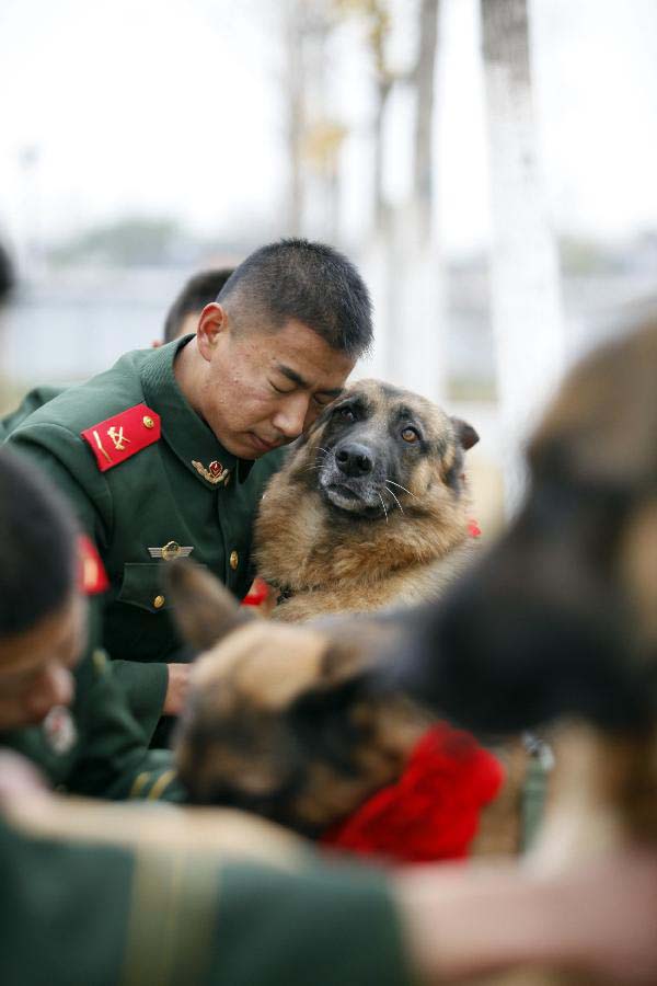 A dog handler hugs his police dog which has completed military service in Jiangsu Armed Police Corps in Nanjing, capital of east China's Jiangsu Province, Nov. 23, 2012. Five police dogs have to leave the corps as their term of military service is due. (Xinhua/Li Ke)