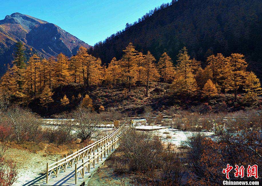 Yading is a nation-level reserve in Daocheng County, in the southwest of Sichuan Province. Located in the eastern part of the Qinghai-Tibetan Plateau, it boasts a beautiful alpine valley scenery. Yading's amazing landscape has won itself the titles of "the last Shangri-La" and "the last pure land on the blue planet." (China.org.cn)