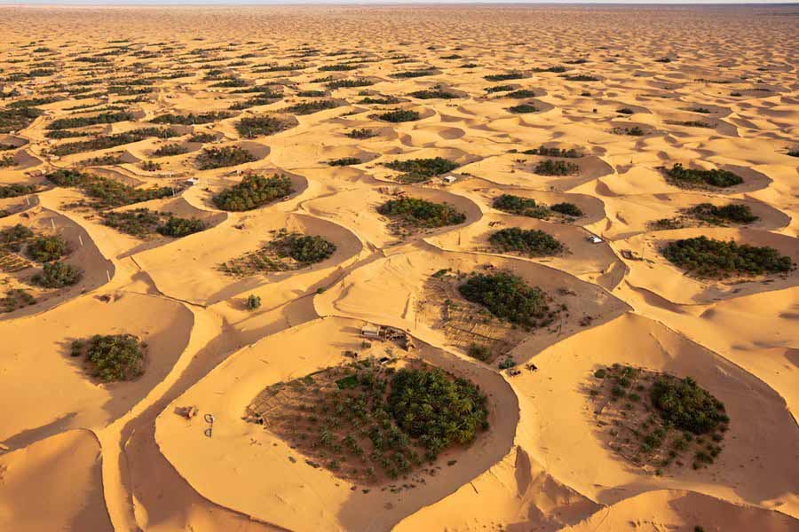 Adjder oasis, Algeria (Source: www.huanqiu.com)