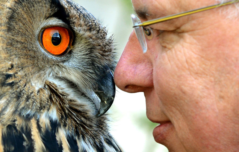 A man and an owl stare at each other at a press conference of “horses and hunting” commodity fair held in Hanover, Germany on Nov. 20, 2012. (Xinhua/AFP)