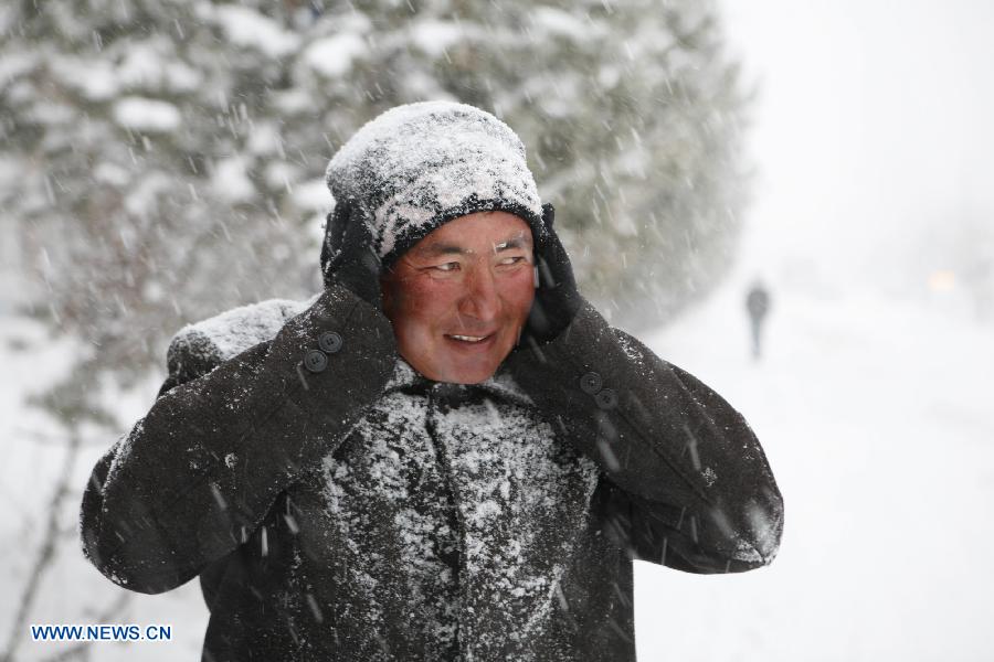 A man walks in the snow on a street in Altay, northwest China's Xinjiang Uygur Autonomous Region, Nov. 26, 2012. Heavy snow hit Altay since last Monday, bringing inconveniences to the herdsmen and traffic here. (Xinhua/Ye Erjiang)