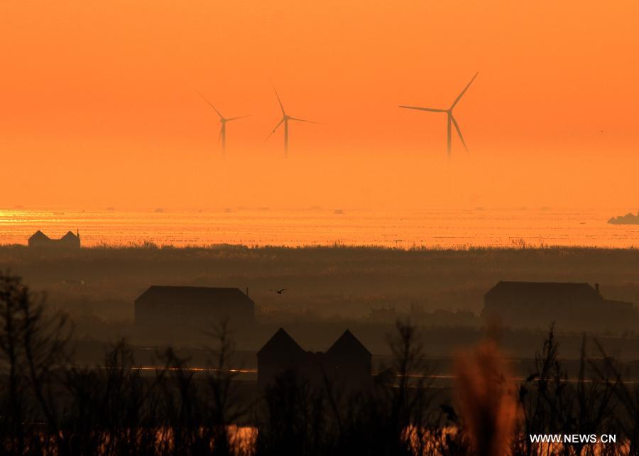 Photo taken on Nov. 25, 2012 shows wind turbines at sunset in Rongcheng City, east China's Shandong Province. (Xinhua/Lin Haizhen) 