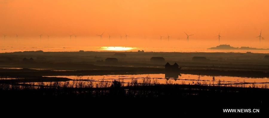 Photo taken on Nov. 25, 2012 shows wind turbines at sunset in Rongcheng City, east China's Shandong Province. (Xinhua/Lin Haizhen)