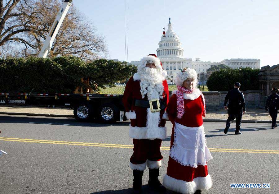 Workers dressed in costumes of Santa Claus and his wife stand before the Capitol Christmas tree on the west side of the Capitol Hill in Washington D.C., the United States, Nov. 26, 2012. The tree is an Engelmann Spruce from Meeker, Colorado, and will be decorated in the coming days for the holidays. It is part of an annual tradition since 1964. (Xinhua/Fang Zhe)