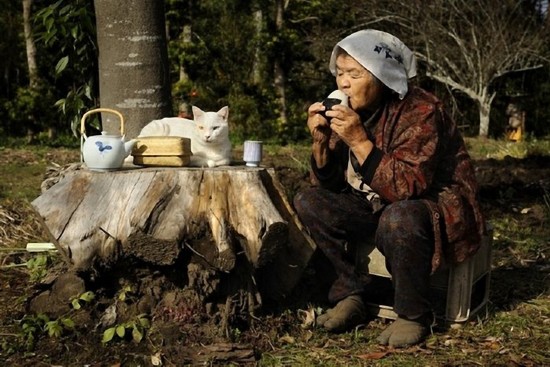 By Japanese photographer Miyoko Ihara. Photos are from her album "Misao the Big Mama and Fukumaru the Cat."