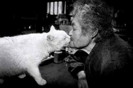 By Japanese photographer Miyoko Ihara. Photos are from her album "Misao the Big Mama and Fukumaru the Cat."