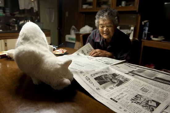 By Japanese photographer Miyoko Ihara. Photos are from her album "Misao the Big Mama and Fukumaru the Cat."